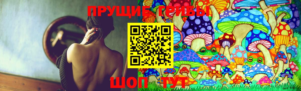 Юрга  магазин продажи наркотиков  Псилоцибиновые грибы Psilocybe  Вход с VPN  Галлюциногенные грибы прущие грибы 